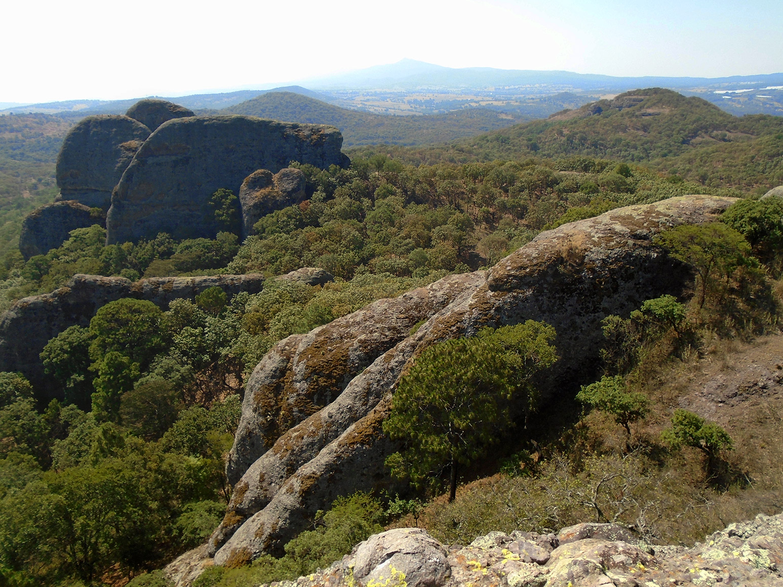 Vista de algunas piedras